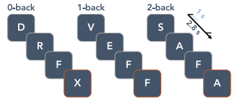 NBack paradigm